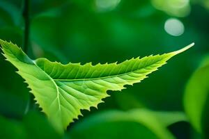 un cerca arriba de un hoja con verde hojas. generado por ai foto