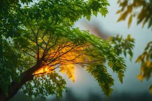 un árbol con un fuego en el antecedentes. generado por ai foto