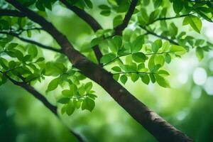 a tree branch with green leaves in the background. AI-Generated photo