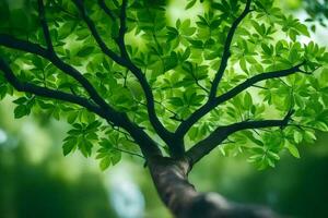 un árbol con verde hojas en el antecedentes. generado por ai foto