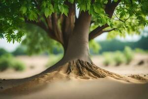 a tree with roots in the sand. AI-Generated photo