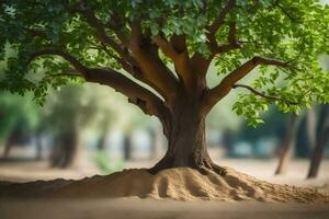 a tree is shown in the sand with dirt. AI-Generated photo