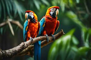 two colorful parrots sitting on a branch. AI-Generated photo