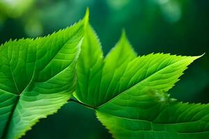 verde hojas en un árbol. generado por ai foto