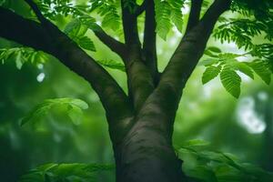 a tree with green leaves in the forest. AI-Generated photo