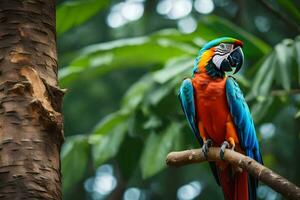 un vistoso loro se sienta en un rama en frente de un árbol. generado por ai foto