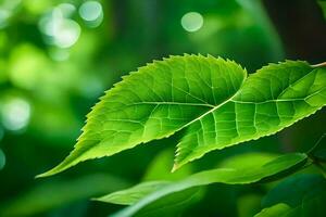 a green leaf is shown in front of a green background. AI-Generated photo