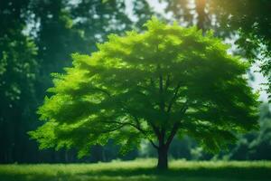 un árbol en el medio de un verde campo. generado por ai foto