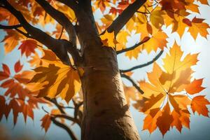 un árbol con naranja hojas en el Dom. generado por ai foto