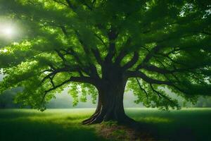 el Dom brilla mediante el hojas de un grande árbol. generado por ai foto