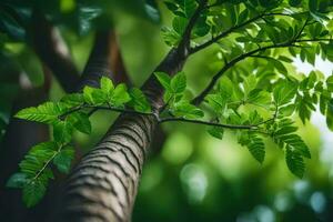 un árbol con verde hojas y luz de sol. generado por ai foto