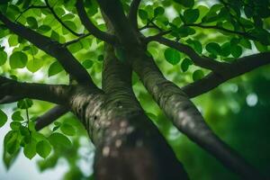 a tree with green leaves and branches. AI-Generated photo