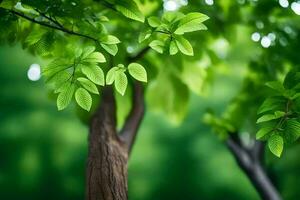 un árbol con verde hojas y un borroso antecedentes. generado por ai foto