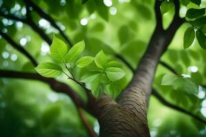 a tree with green leaves and sunlight. AI-Generated photo