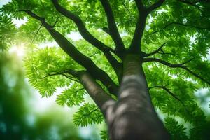 a tree is seen from above with sunlight shining through it. AI-Generated photo
