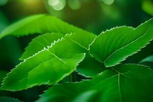 un cerca arriba de verde hojas en un árbol. generado por ai foto