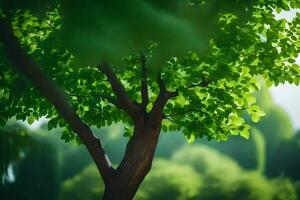 un árbol es en el medio de un verde campo. generado por ai foto