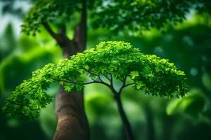 a tree with green leaves in the middle of a forest. AI-Generated photo