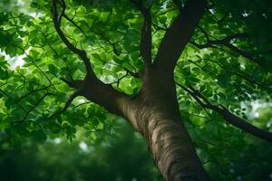 un árbol con verde hojas en el bosque. generado por ai foto