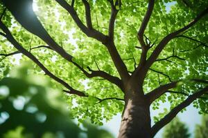 a tree with green leaves and sunlight shining through. AI-Generated photo