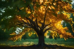 un árbol con amarillo hojas en el Dom. generado por ai foto