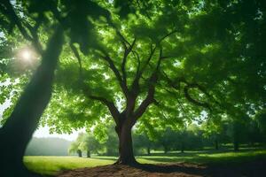 a tree in the middle of a field with the sun shining through it. AI-Generated photo