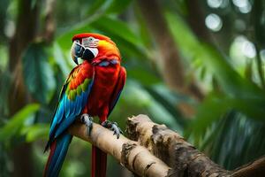 un vistoso loro se sienta en un rama en el selva. generado por ai foto