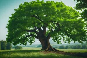 un grande árbol en el medio de un campo. generado por ai foto