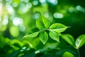 a green leaf is shown in the sunlight. AI-Generated photo