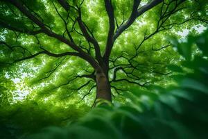 un árbol en el bosque. generado por ai foto