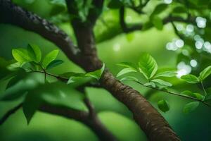 a tree branch with green leaves. AI-Generated photo