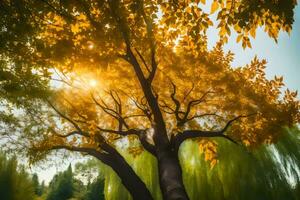 a tree with yellow leaves and the sun shining through. AI-Generated photo