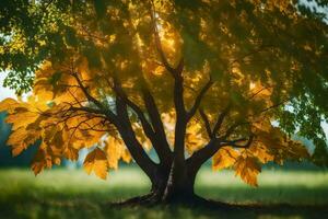 a tree with yellow leaves in the grass. AI-Generated photo