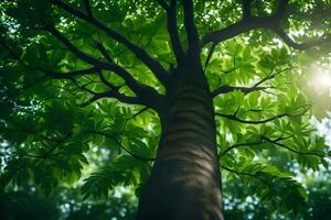 a tree with green leaves and sunlight shining through. AI-Generated photo