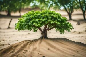 a tree growing out of the sand in the desert. AI-Generated photo