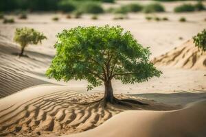 a lone tree in the desert. AI-Generated photo