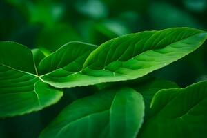 a close up of green leaves on a plant. AI-Generated photo