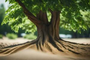 a tree with roots in the sand. AI-Generated photo