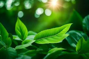 green leaves in the sunlight. AI-Generated photo