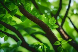 a tree branch with green leaves and sunlight. AI-Generated photo