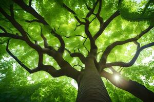 a tree with sunlight shining through the leaves. AI-Generated photo