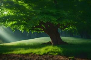 a tree in the middle of a field with sunlight shining through it. AI-Generated photo