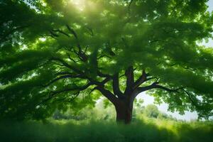 un grande árbol en el medio de un campo. generado por ai foto