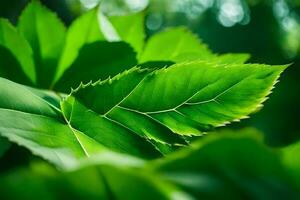 a close up of green leaves on a tree. AI-Generated photo