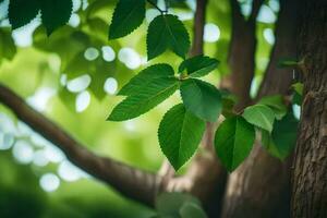 un árbol con verde hojas y un borroso antecedentes. generado por ai foto