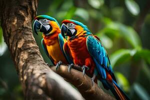 two colorful parrots sitting on a branch. AI-Generated photo