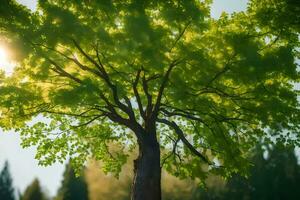 a tree is shown in the sun with a green background. AI-Generated photo