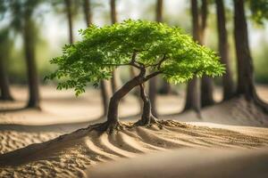 a tree growing out of the sand in the middle of a forest. AI-Generated photo