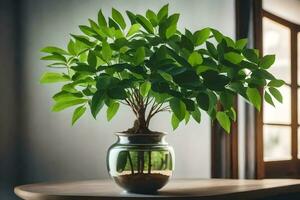 un en conserva planta en un florero en un mesa. generado por ai foto