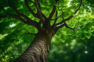 a tree with green leaves in the forest. AI-Generated photo